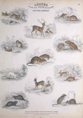Reproducción/Reproduction 49748843148: Leaves from the book of nature,. Edinburgh :W.H. Lizars;[184-?]. 