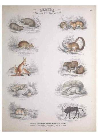 Reproducción/Reproduction 49749714577: Leaves from the book of nature,. Edinburgh :W.H. Lizars;[184-?]. 