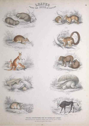 Reproducción/Reproduction 49749714577: Leaves from the book of nature,. Edinburgh :W.H. Lizars;[184-?]. 