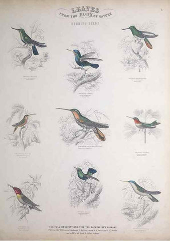 Reproducción/Reproduction 49748843913: Leaves from the book of nature,. Edinburgh :W.H. Lizars;[184-?]. 