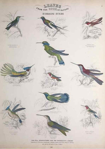 Reproducción/Reproduction 49749387046: Leaves from the book of nature,. Edinburgh :W.H. Lizars;[184-?]. 