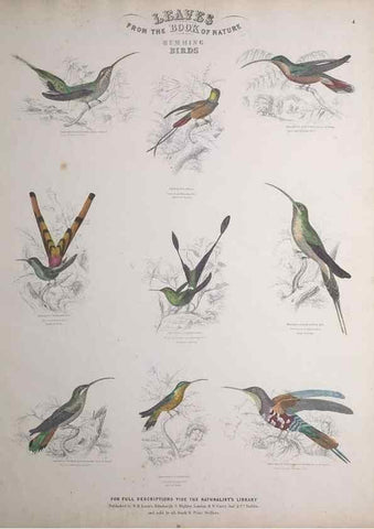 Reproducción/Reproduction 49748844438: Leaves from the book of nature,. Edinburgh :W.H. Lizars;[184-?]. 