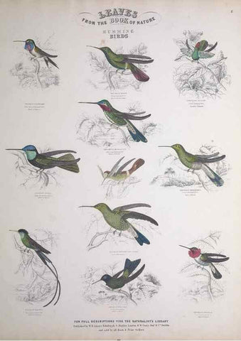 Reproducción/Reproduction 49749387571: Leaves from the book of nature,. Edinburgh :W.H. Lizars;[184-?]. 
