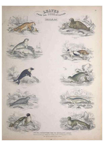 Reproducción/Reproduction 49748838648: Leaves from the book of nature,. Edinburgh :W.H. Lizars;[184-?]. 