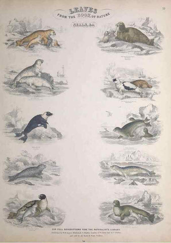 Reproducción/Reproduction 49748838648: Leaves from the book of nature,. Edinburgh :W.H. Lizars;[184-?]. 