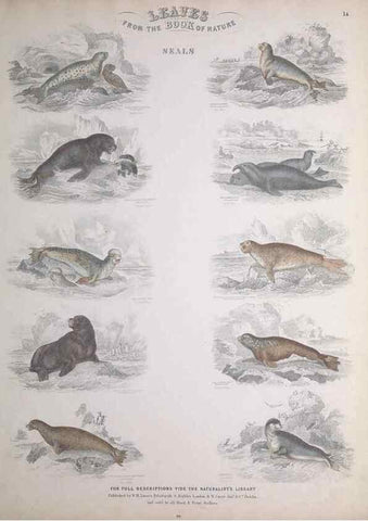 Reproducción/Reproduction 49749709657: Leaves from the book of nature,. Edinburgh :W.H. Lizars;[184-?]. 