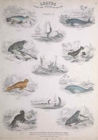 Reproducción/Reproduction 49749709887: Leaves from the book of nature,. Edinburgh :W.H. Lizars;[184-?]. 