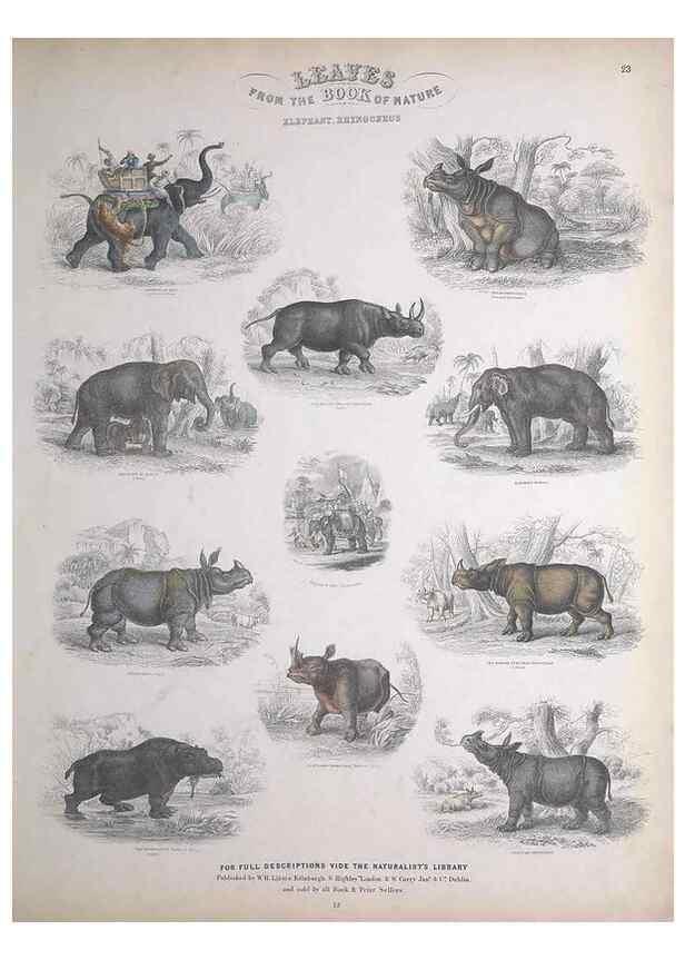 Reproducción/Reproduction 49748840788: Leaves from the book of nature,. Edinburgh :W.H. Lizars;[184-?]. 