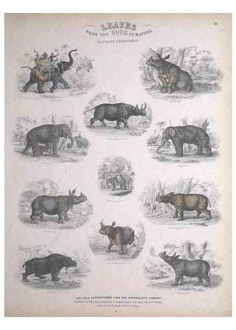 Reproducción/Reproduction 49748840788: Leaves from the book of nature,. Edinburgh :W.H. Lizars;[184-?]. 