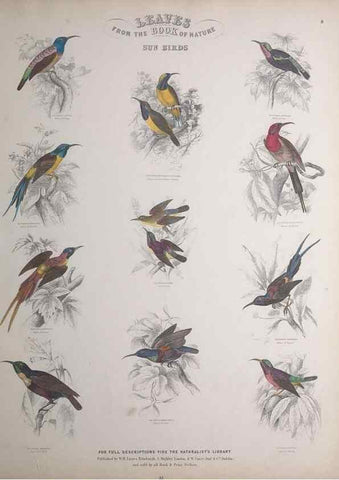 Reproducción/Reproduction 49749716152: Leaves from the book of nature,. Edinburgh :W.H. Lizars;[184-?]. 