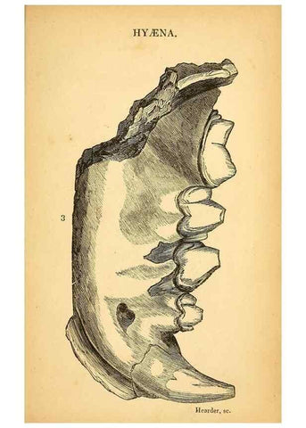 Reproducción/Reproduction 49751007912: The natural history of South Devon :. Plymouth,Printed and published by Jenkin Thomas,1839.. 