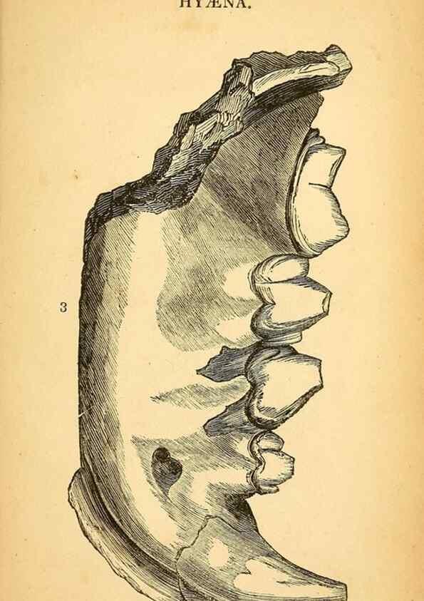 Reproducción/Reproduction 49751007912: The natural history of South Devon :. Plymouth,Printed and published by Jenkin Thomas,1839.. 