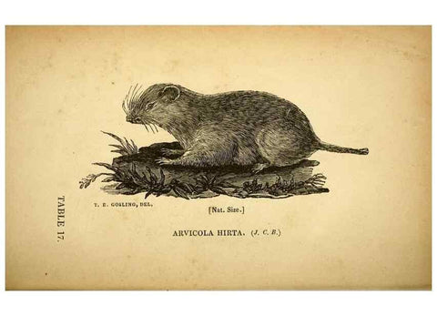 Reproducción/Reproduction 49750139678: The natural history of South Devon :. Plymouth,Printed and published by Jenkin Thomas,1839.. 