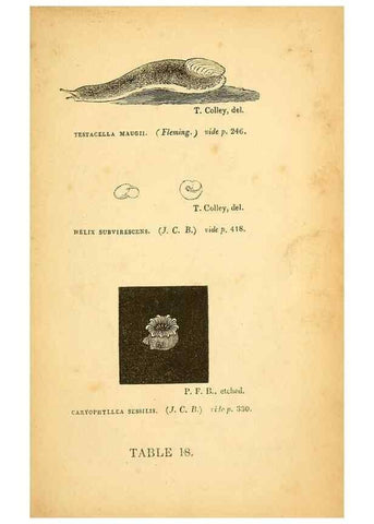 Reproducción/Reproduction 49751009137: The natural history of South Devon :. Plymouth,Printed and published by Jenkin Thomas,1839.. 