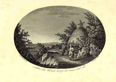 Reproducción/Reproduction 49753201356: The natural history of Selborne /. London :Printed for C. and J. Rivington [and 11 others],1825.. 
