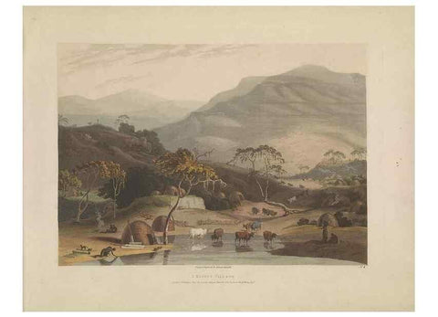 Reproducción/Reproduction 49752706768: [African scenery and animals]. London,1804-05. 