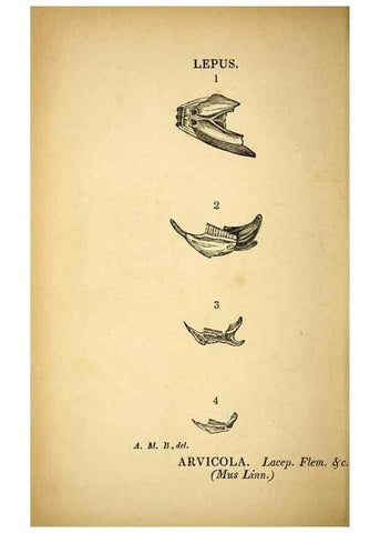 Reproducción/Reproduction 49750138143: The natural history of South Devon :. Plymouth,Printed and published by Jenkin Thomas,1839.. 