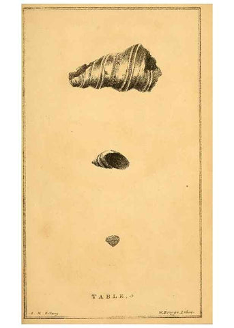 Reproducción/Reproduction 49751000237: The natural history of South Devon :. Plymouth,Printed and published by Jenkin Thomas,1839.. 