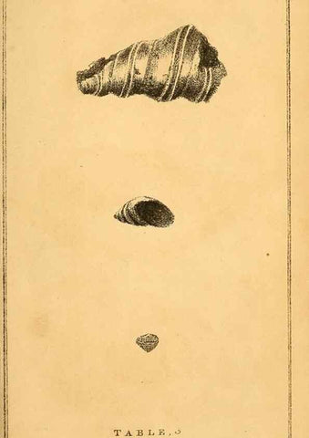 Reproducción/Reproduction 49751000237: The natural history of South Devon :. Plymouth,Printed and published by Jenkin Thomas,1839.. 