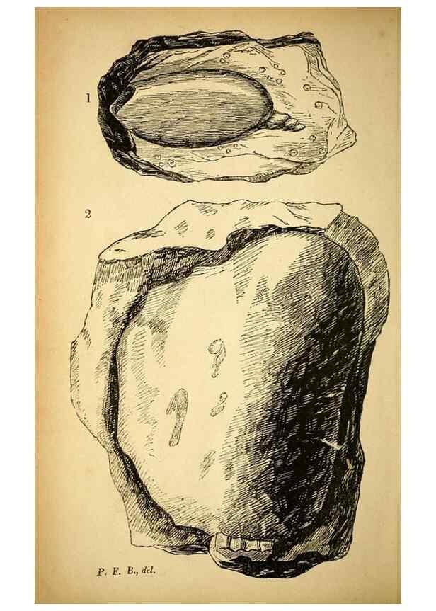 Reproducción/Reproduction 49750132153: The natural history of South Devon :. Plymouth,Printed and published by Jenkin Thomas,1839.. 