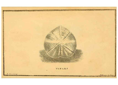 Reproducción/Reproduction 49750673551: The natural history of South Devon :. Plymouth,Printed and published by Jenkin Thomas,1839.. 