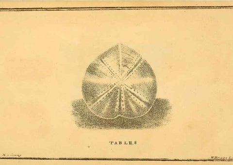 Reproducción/Reproduction 49750673551: The natural history of South Devon :. Plymouth,Printed and published by Jenkin Thomas,1839.. 