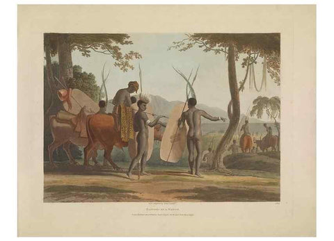 Reproducción/Reproduction 49752707088: [African scenery and animals]. London,1804-05. 
