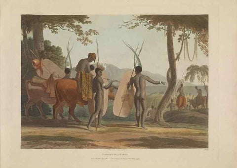 Reproducción/Reproduction 49752707088: [African scenery and animals]. London,1804-05. 