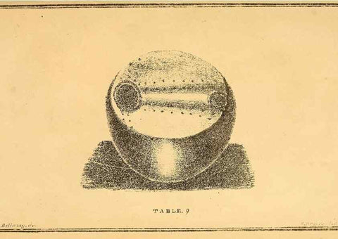 Reproducción/Reproduction 49750673866: The natural history of South Devon :. Plymouth,Printed and published by Jenkin Thomas,1839.. 