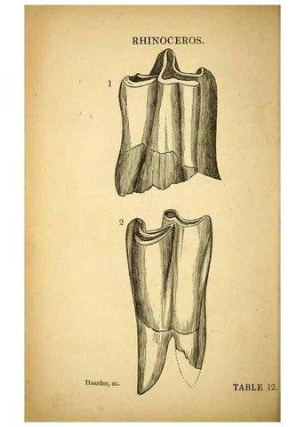 Reproducción/Reproduction 49750676081: The natural history of South Devon :. Plymouth,Printed and published by Jenkin Thomas,1839.. 