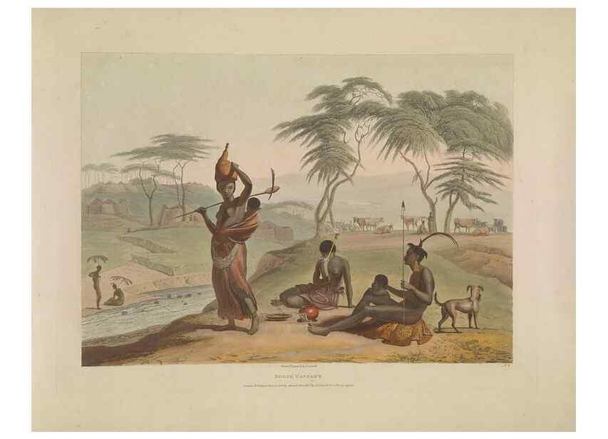 Reproducción/Reproduction 49753243516: [African scenery and animals]. London,1804-05. 