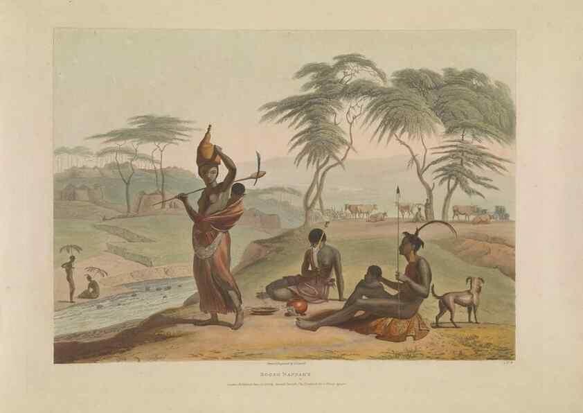 Reproducción/Reproduction 49753243516: [African scenery and animals]. London,1804-05. 