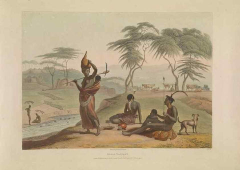 Reproducción/Reproduction 49753243516: [African scenery and animals]. London,1804-05. 