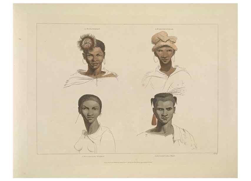 Reproducción/Reproduction 49752712828: [African scenery and animals]. London,1804-05. 