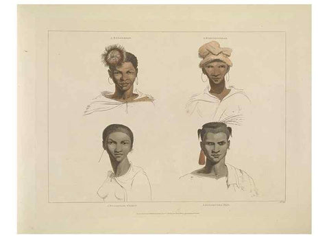Reproducción/Reproduction 49752712828: [African scenery and animals]. London,1804-05. 