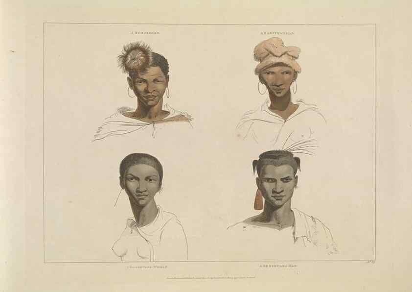 Reproducción/Reproduction 49752712828: [African scenery and animals]. London,1804-05. 