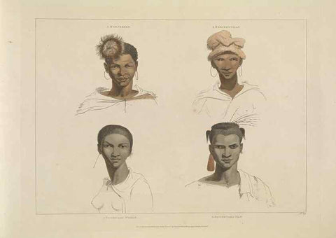 Reproducción/Reproduction 49752712828: [African scenery and animals]. London,1804-05. 