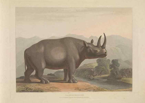 Reproducción/Reproduction 49752713058: [African scenery and animals]. London,1804-05. 