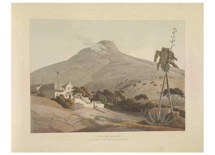 Reproducción/Reproduction 49753581012: [African scenery and animals]. London,1804-05. 