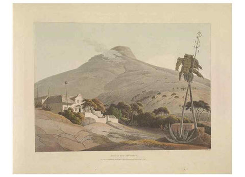 Reproducción/Reproduction 49753581012: [African scenery and animals]. London,1804-05. 