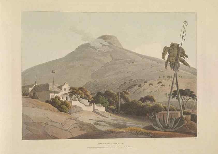 Reproducción/Reproduction 49753581012: [African scenery and animals]. London,1804-05. 