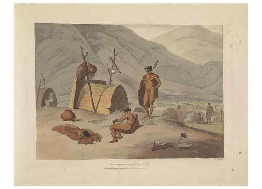 Reproducción/Reproduction 49753247751: [African scenery and animals]. London,1804-05. 