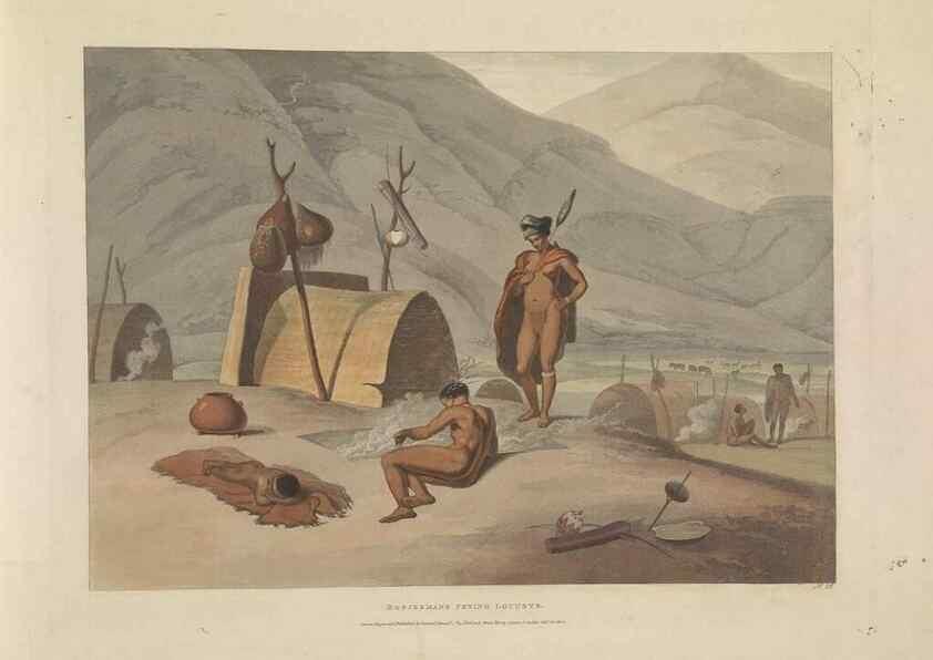 Reproducción/Reproduction 49753247751: [African scenery and animals]. London,1804-05. 