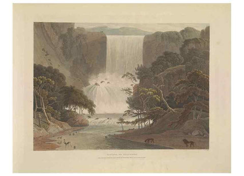 Reproducción/Reproduction 49753580252: [African scenery and animals]. London,1804-05. 