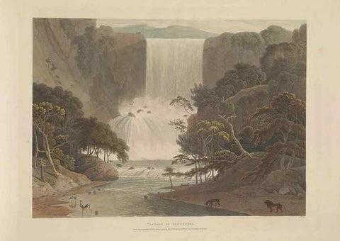 Reproducción/Reproduction 49753580252: [African scenery and animals]. London,1804-05. 