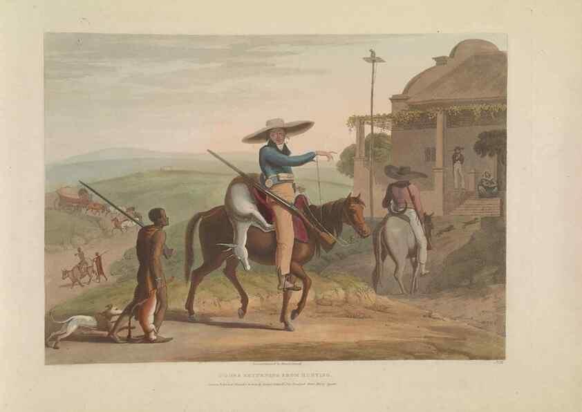 Reproducción/Reproduction 49752708438: [African scenery and animals]. London,1804-05. 