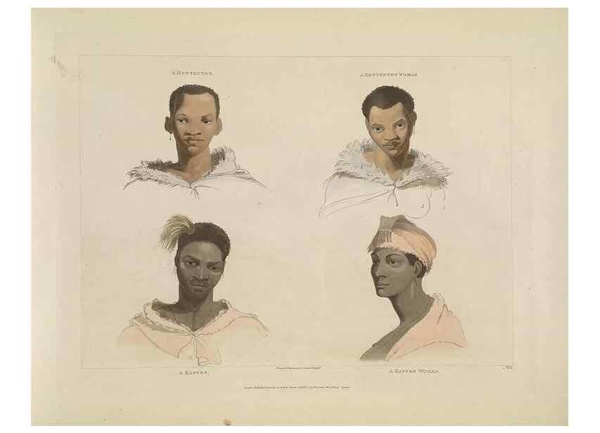 Reproducción/Reproduction 49753244821: [African scenery and animals]. London,1804-05. 