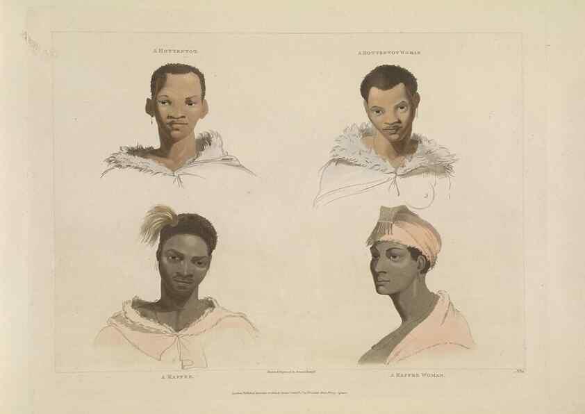 Reproducción/Reproduction 49753244821: [African scenery and animals]. London,1804-05. 