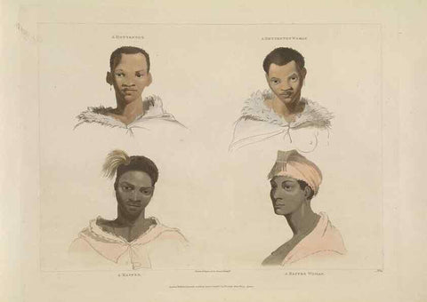 Reproducción/Reproduction 49753244821: [African scenery and animals]. London,1804-05. 