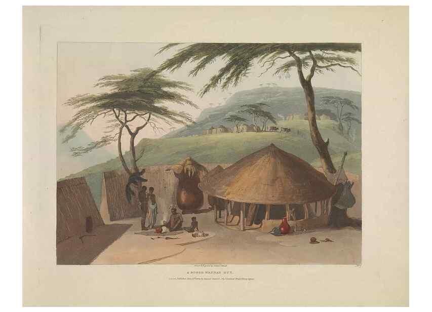Reproducción/Reproduction 49753575787: [African scenery and animals]. London,1804-05. 